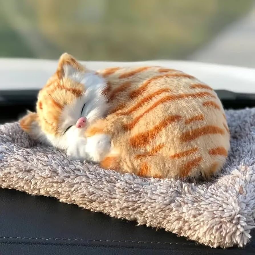 Cute Sleeping Kitty Show Piece